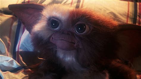 exclusive gremlins reboot  seth grahame smith snacking