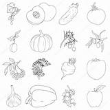Coloring Fruits Vegetables Book Set Stock Illustration Vector sketch template