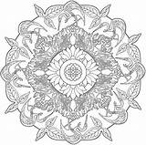 Coloring Nature Mandala Mandalas Pages Adult Book Colouring Printable Drawing Dover Adults Therapy Books Publications Color Painting Sheets Para Doverpublications sketch template
