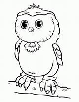 Owl Coloring Babies Pages Horned Great Comments Getcolorings Library Color sketch template