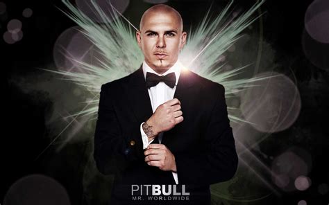 Pitbull Rapper Wallpapers Top Những Hình Ảnh Đẹp