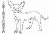 Chihuahua Coloring Pages Simple sketch template