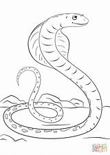 Cobra Coloring Pages Cartoon Cute Snakes Mamba Print Drawing Printable Kids Reptiles Color Sheets Parentune Child Worksheets Getcolorings sketch template