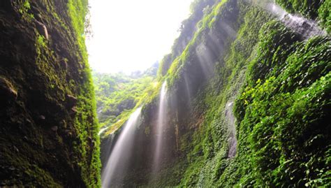 Explore Trip Waterfall Madakaripura ? Bromo and Ranu  