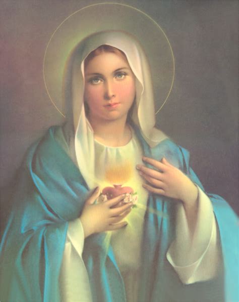 Infallible Catholic The Blessed Virgin Mary The New Ark