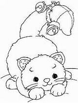 Kitten Playing Scribblefun Uni Colorir sketch template