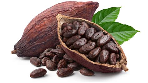 heres  cacao beans taste    country