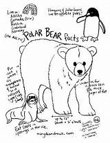 Coloring Polar Printable Facts Bear Fun Pages Bears Drawn Hand Norway Colorings Getdrawings Getcolorings Print sketch template