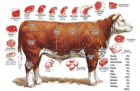 beef cut sheet malcos buxton meats