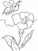 Albina Colorat Cu Bee Planse Floare Fise Insecte Copii Zboara Stup sketch template