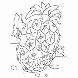 Pineapple Coloring Pages Printable Fruit Sugarloaf Kids Spongebob Toddlers Ripe Momjunction sketch template