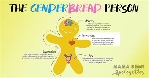genderbread person part 4 sexual and romantic attraction mama bear