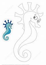 Seahorse Trace Color Cartoon Puzzle Coloring Drawing Games Game Printable Pages sketch template