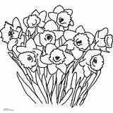 Coloring Daffodil Printable Spring Flower Pages Click Browser Inch Then Paper Print sketch template
