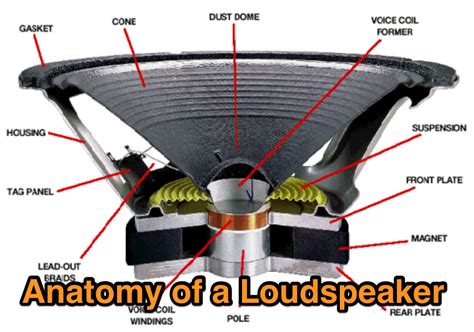 anatomy   loudspeaker  dxzonecom