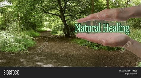 path natural healing image photo  trial bigstock