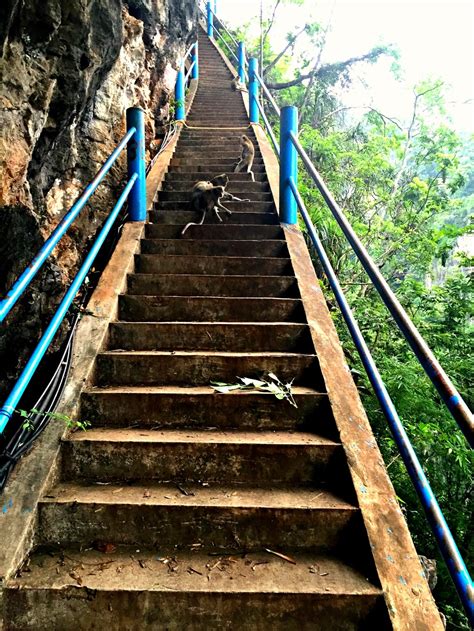 tiger cave temple    attraction  thailand