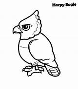 Eagle Harpy Coloring Pages Drawing Color Getcolorings Printable sketch template