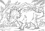 Triceratops Triceratopo Colorir Dinosaurier Dinossauro Ausmalbilder Ausmalbild Torosaurus Dinosauri Stampare Dinosaurio Supercoloring Kategorien Raskrasil sketch template