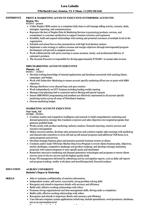 accounting executive resume template mt home arts