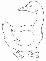 Geese Coloringpage Gans sketch template
