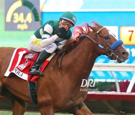 daily racing form on twitter santa anita meeting ends with mandatory