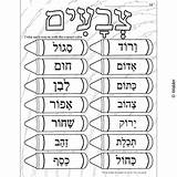 Hebrew Colors Color Crayons Learn Waldereducation sketch template
