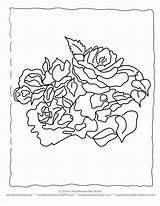 Coloring Pages Flower Botany Garden Blank Book Library Clipart Popular Sheets Line Printable Rose sketch template