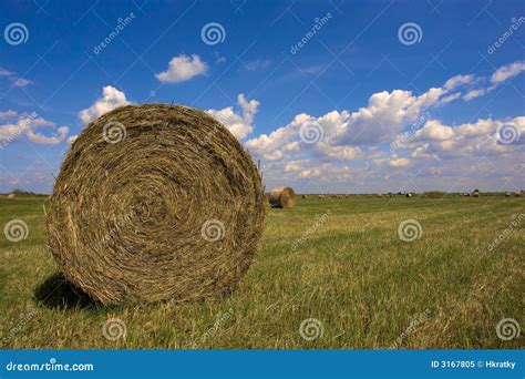 haystack royalty  stock photo image