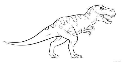 dinosaur coloring page  art illustrations