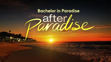 When Does After Paradise Season 3 Start Premiere Date Cancelled