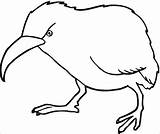 Kiwis Kolorowanki Pajaros Strusie Emu Cliparts Coloringbay Estranhos sketch template