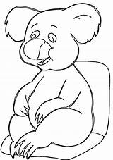 Koala Coloring Pages Happy Koalas Printable Kids Bear Supercoloring Animal Animalplace Categories sketch template