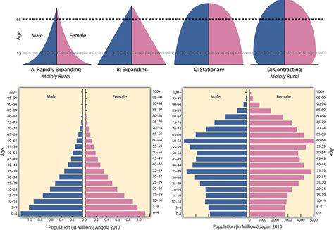 Demographic Transition And Population Pyramids