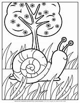 Snail Planerium sketch template
