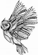 Owl Tattoo Coloring Owls Flight Adult Tattoos Drawing Pages Drawings Beautiful Vk Buho Visit Bird Choose Board Ink sketch template