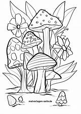 Mushrooms Pilze Pilz Ausmalbild Malvorlage sketch template