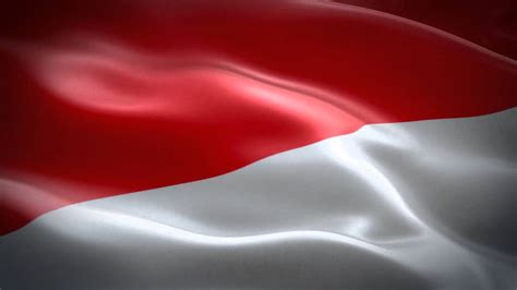 animasi bendera indonesia hd video background youtube