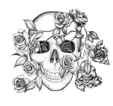 skulls  roses coloring pages home