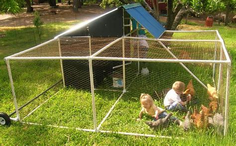 amazing diy chicken coop plans designs  ideas