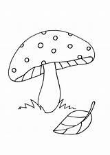 Grzyby Colouring Jesienne Mushrooms Kolorowanka Druku Colorear Fungi Pokoloruj Parabebes Drukowanka Printablecolouringpages sketch template