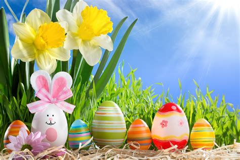 happy easter spring sunshine eggs flowers sun flower
