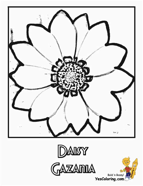 coloring flower page top ten popular flowers  daisies flower