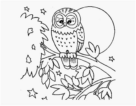 cute owl coloring pages printable fall animal coloring pages hd png