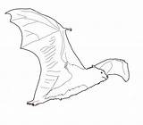 Bat Fledermaus Nietoperz Kolorowanki Dzieci Flying Ausmalbild Pobrania Letzte Seite sketch template