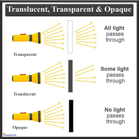 translucent  opaque