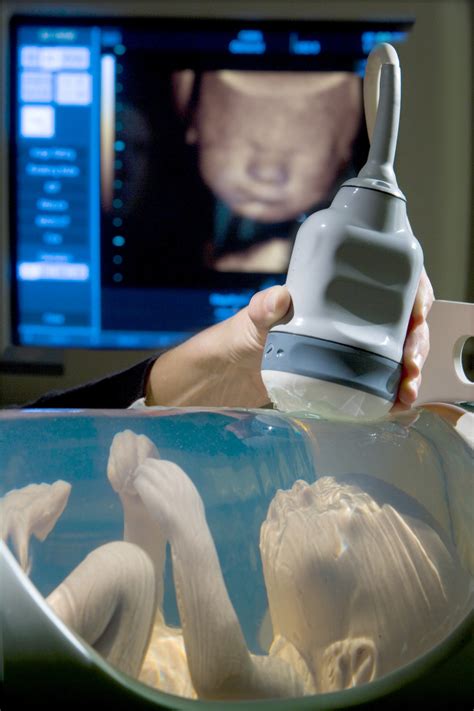 fetal ultrasound training phantoms cirs