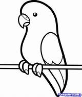 Parakeet Bird Outlines Parrot Cliparts Perruche Dragoart Animaux Dessiner Kid Activite Enfant Oiseau Faire Webstockreview Coloriage sketch template