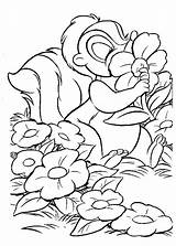 Bambi Primavara Colorat Beest Coloriages Biest Kleurplaten Blume Sympa Planse Bamby Fiore Tambor Colorier Bojanke Adultes Kolorowanki Ausmalbild Desene sketch template