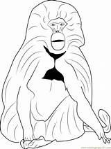 Coloring Baboon Pages Gelada Coloringpages101 Animals sketch template